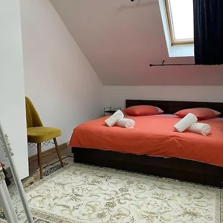 La Casa 아파트 티미쇼아라